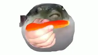 ¿Quieres? | Pufferfish eating carrot meme