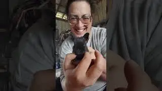 Adorable Little Meat Mittens ♥  