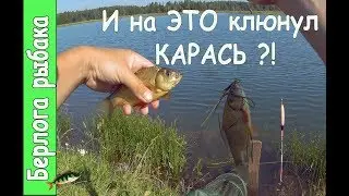 Ты ни когда на это не ловил карася.