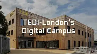 TEDI-London: learning theory online