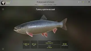 Русская Рыбалка 4 - O.  Куори - Голец Арктический