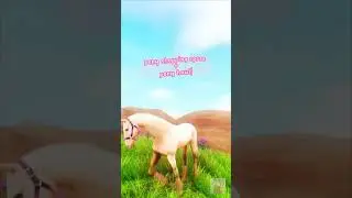 ♡ star stable: pony shopping + cute pony haul ♡