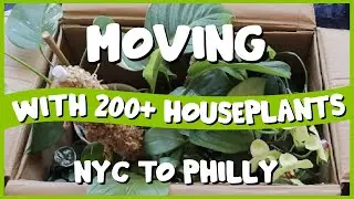 MOVING with 200+ Houseplants | From NYC to Philly!