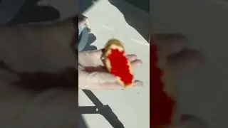 Неудачная попытка