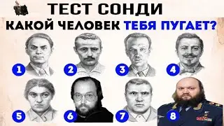 Воевода Бэбэй смотрит фотожабы и видеолупы