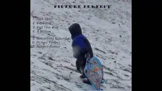 PICTURE PERFECT