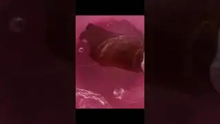 Water testing