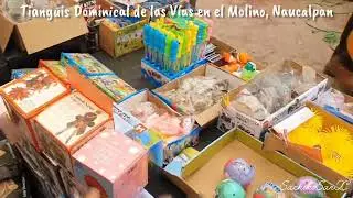 Visite el tianguis más grande de Naucalpan buscando juguetes | Tianguis de las Vías del Molinito