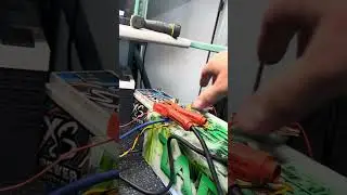 Euphoria Xpert EXM900.4 Amp Dyno Test by Droppin HZ Car Audio