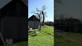 Райский уголок, весна пришла#природа#отдых#весна