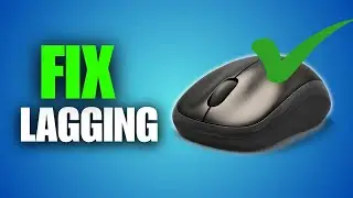 How to Fix Mouse Lagging & Freezing Issue (Windows 11)