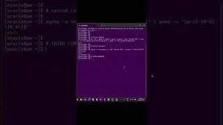 How to extract | Oracle Database instance || Oracle SID | using  OS command on Linux ? 