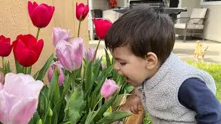 США 🇺🇸 НАТЕНИЭЛ, понюхай цветочки!