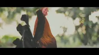 Paboritong Anak ng Tatay Mo