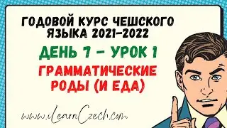 Intensive Czech course 7.1: Grammatical gender (and food)