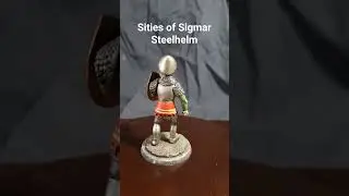 Самодельный боец городов Сигмага/ Handmade Sities of Sigmar Steelhelm 