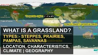 What are Grassland | Types - Temperate & Tropical | Location, Characteristics, Climate | Geography