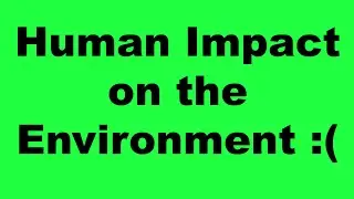 Human impact on the environment!