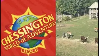 CHESSINGTON WORLD OF ADVENTURES | AUGUST 2022 SUMMER HOLIDAY