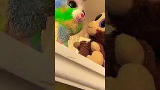 Beanie boo: music video Till The Morning