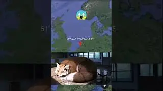 Huge fox😱on Google Earth 