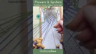 Spring is here! Time for flowers and spiders! 🌸🕷️ 