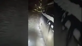 катаюсь на питбайке с другом