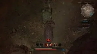 Spicy Tortoise, Path Of Titans