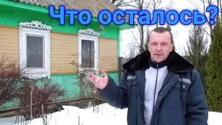 Что осталось после зимы? Ревизия запасов в погребе.