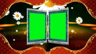 Wedding Video Background Green Screen Animated Effects HD