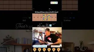 Slow and Groovy Funk Guitar Solo - Hit Those D5 Blues Notes On the Bb7! 