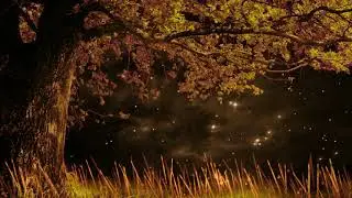 Background Loops