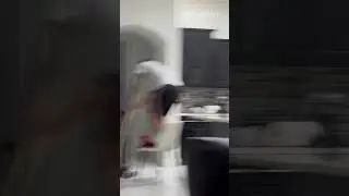 Mouse vs Man, ladies and gents 🐭🤣