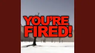 You're Fired