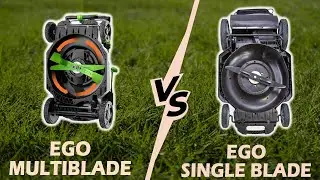 Ego Multi-Blade vs Single Blade: Breaking Down Their Differences (Which Is Better for You?)