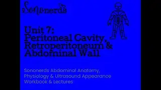 Peritoneal Cavity, Retroperitoneum & Abdominal Wall :: Normal Abdominal Ultrasound with Sononerds