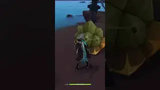 NEW Sumeru Tent Tortoise Hidden Puzzle | Genshin Impact