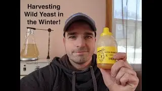 The Community Brew Shop - Harvesting Wild Yeast in the Winter Months - An Experiment