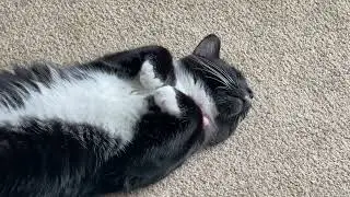 Zahra being even more heckin cute
