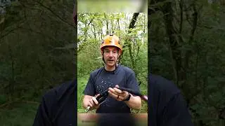 Haas Velox Clip and Step. Full video on channel! #treegear #arborist #treeclimbing #treework