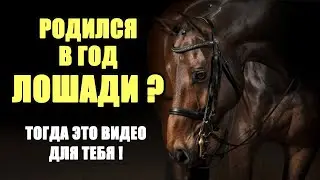Born in the year of the Horse. This video is for you!