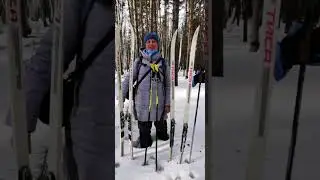 Весенний выходной (2022 год)