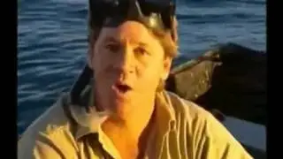 10 Minutes The Death of Steve Irwin