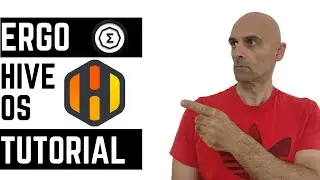 Master ERGO Mining with HiveOS: Tutorial 