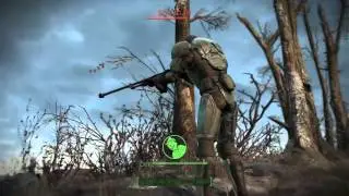 Fallout