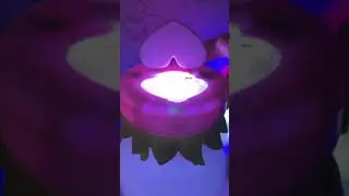 How-To Find Fairies with Secret Codes!💖 