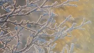 Secret Garden -Frozen in time - Время холодов
