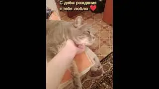 С ДНЁМ РОЖДЕНИЯ 🎉🎉🎉 мой любимый котик ❣️