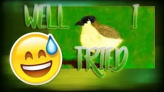 Animal jam bird speedpaint