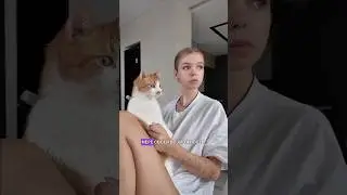 ОЧЕНЬ ТАКТИЛЬНЫЙ КОТ 